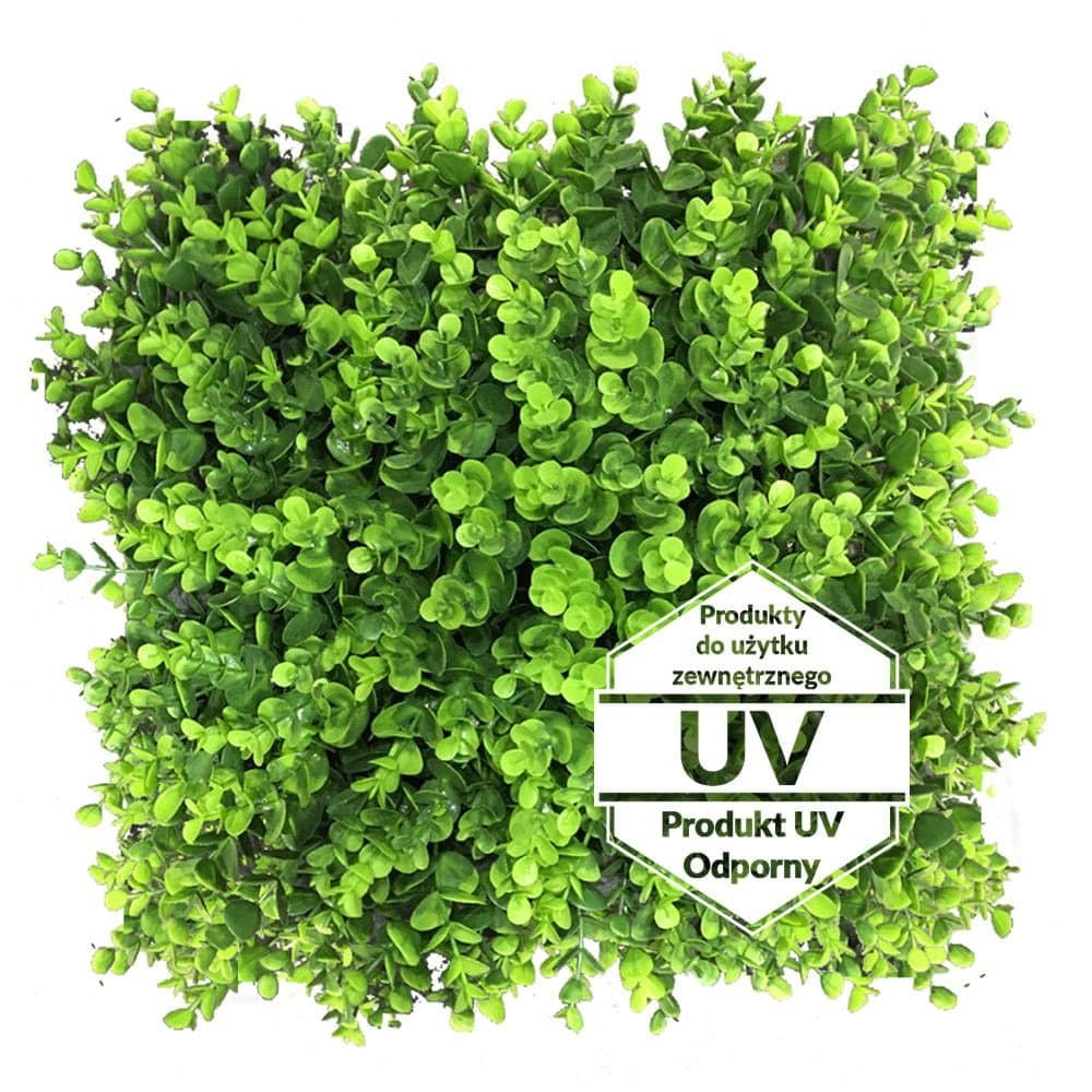 Tapis vert artificiel Wielomlecz UV 50×50 cm - Décoration | Dartank