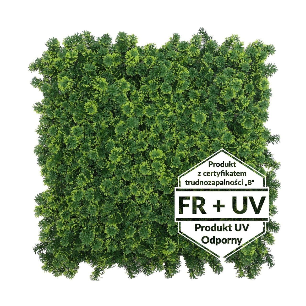 Matte verte artificielle Skrzydlik FR – B UV 50×50 cm