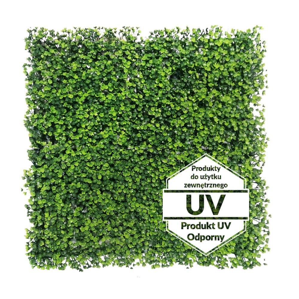 Tapis vert artificiel Rzęsa UV 50×50 cm