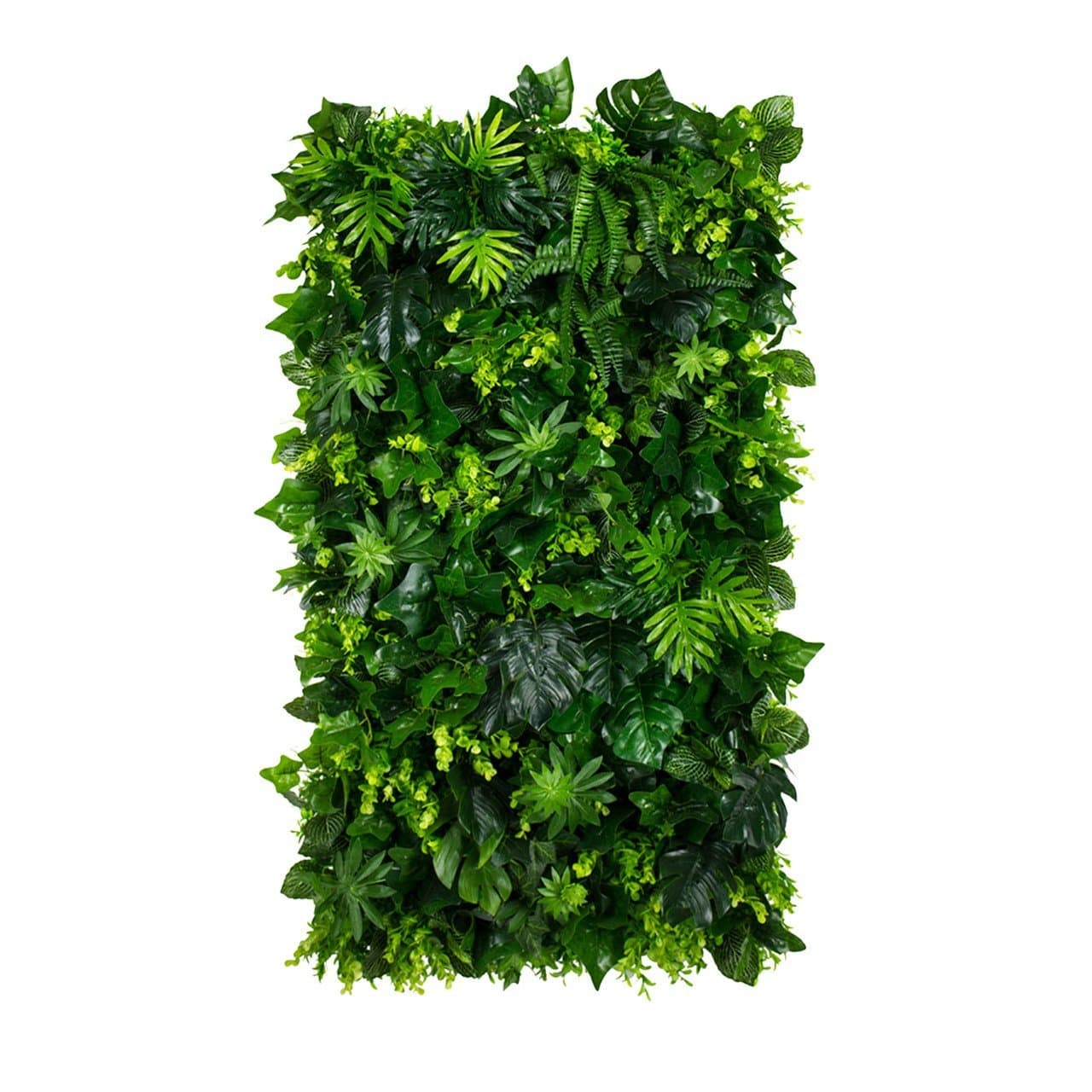 Jungle Heart – Jardin vertical