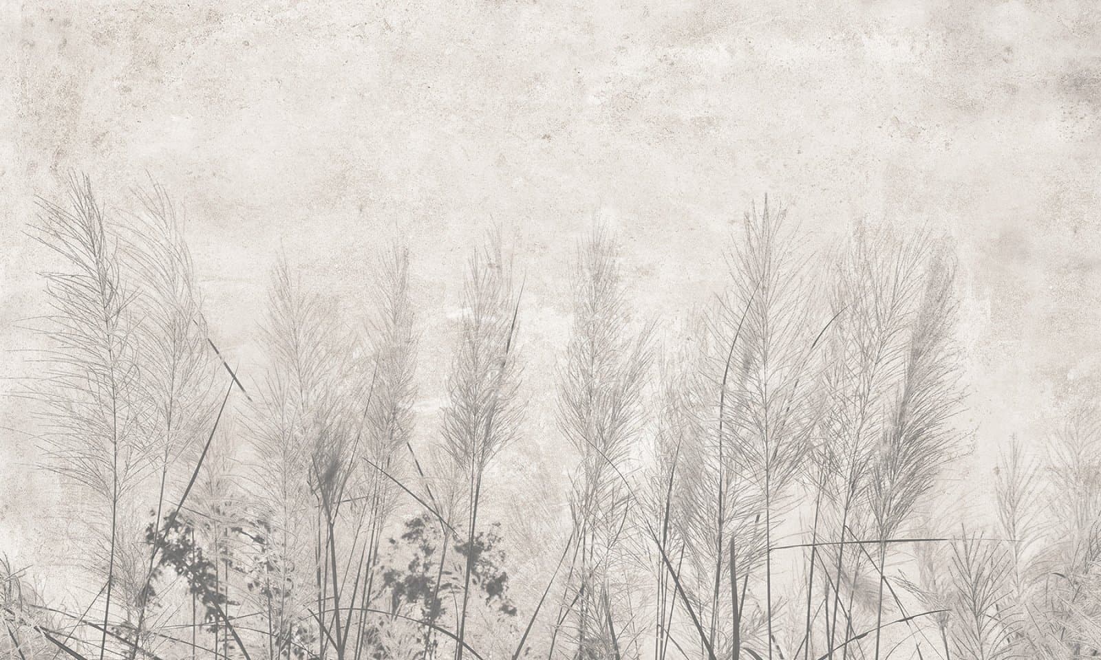 Papier peint Morning mist - Décoration | Dartank