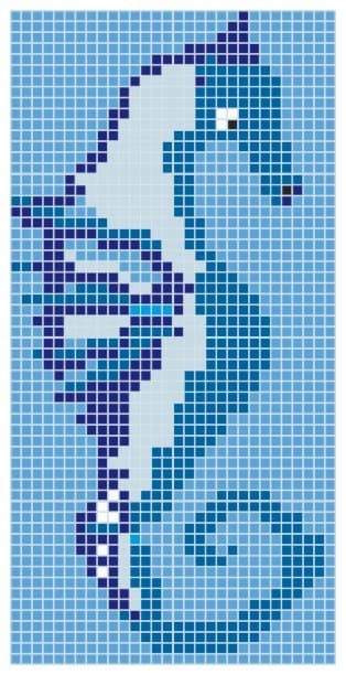 Mosaïque Hippocampe Q