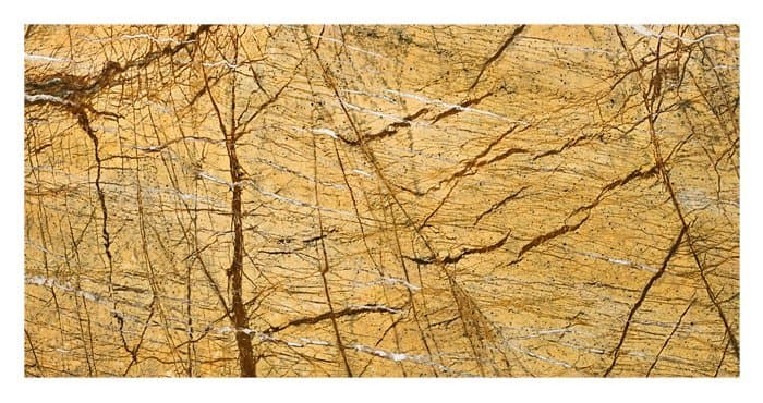 Carrelage Brun de la forêt tropicale