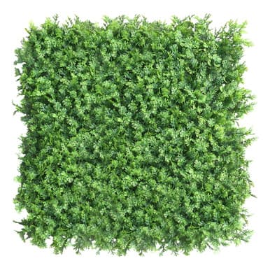 Mur végétal Tuja 50x50 cm - Green Designers | Dartank