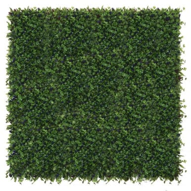 Mur végétal Glycine 50x50 cm