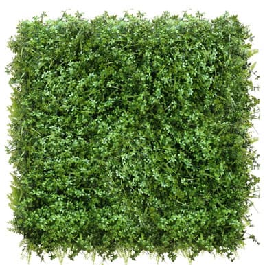Mur vert Lubczyk 50x50 cm - Green Designers | Dartank