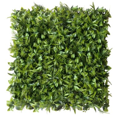 Mur végétal Peperomia 50x50 cm - Green Designers | Dartank