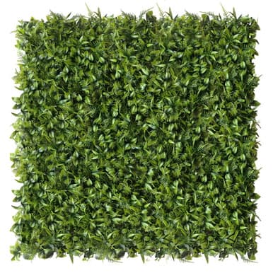 Mur végétal Peperomia 50x50 cm