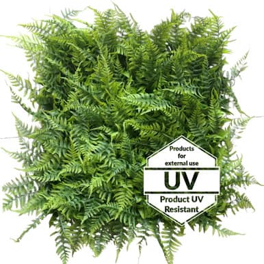 Matte artificielle verte Adiantum UV 50x50 cm