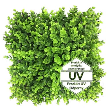 Tapis vert artificiel Wielomlecz UV 50x50 cm