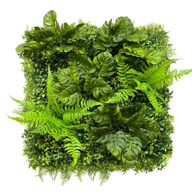 Mur végétal Monstera 50x50 cm