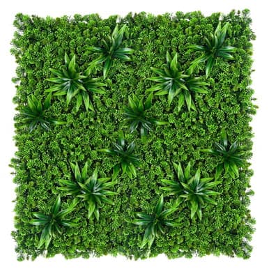 Mur végétal succulent 50x50 cm