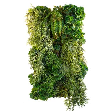 Jardin vertical Asian Breeze