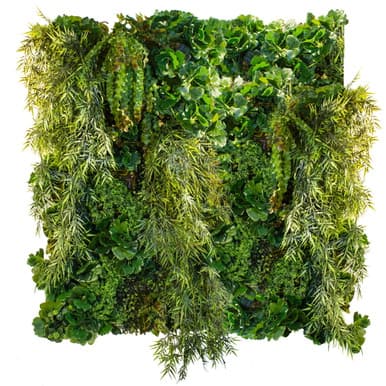 Jardin vertical Asian Breeze
