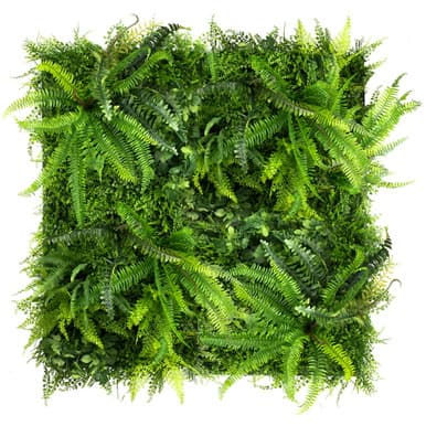 Jardin vertical Wild Fern