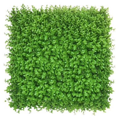 Mur végétal Wielomlecz 50x50 cm