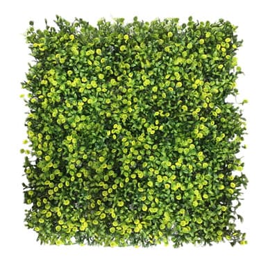 Mur végétal Ziarnopłon 50x50 cm - Green Designers | Dartank