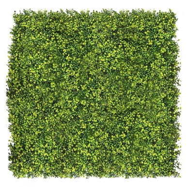 Mur végétal Ziarnopłon 50x50 cm
