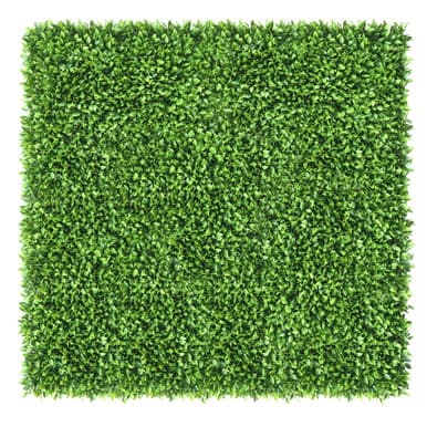 Mur végétal Honkenia 50x50 cm - Green Designers | Dartank