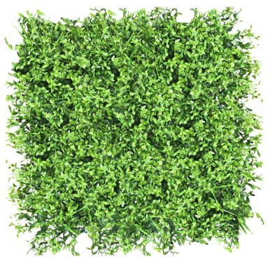 Mur végétal Jemioła 50x50 cm