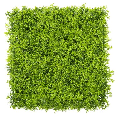 Mur végétal Estragon 50x50 cm