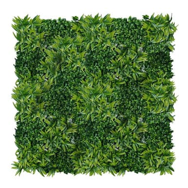 Mur végétal Citronnier 50x50 cm