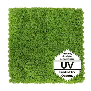 Tapis vert artificiel Runowiec UV 50x50 cm - Green Designers | Dartank