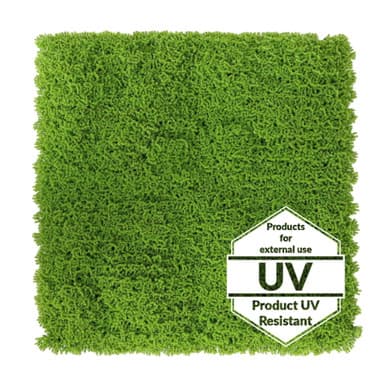 Tapis vert artificiel Runowiec UV 50x50 cm