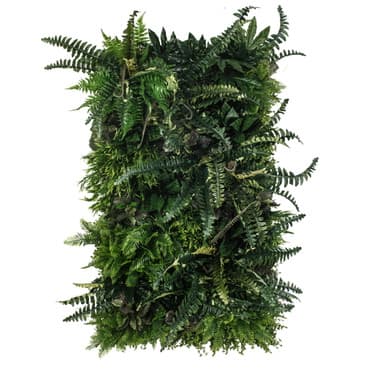 Jardin vertical Rainforest