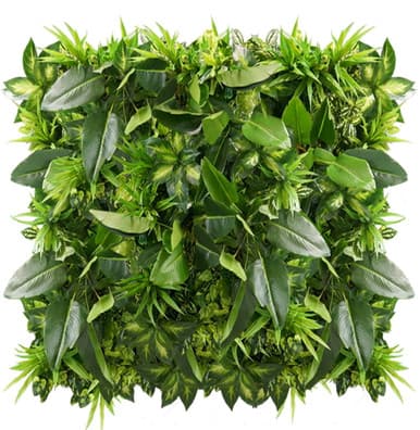 Jardin vertical Tropical Freshness